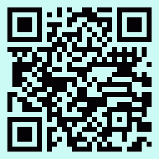 Facepainting Lio QR Kod